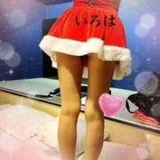 ヒメ日記 2025/12/12 11:36 投稿 落合いろは おいしい奥様