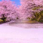 落合いろは おはようございます。 おいしい奥様