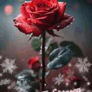 ヒメ日記 2026/01/21 18:46 投稿 滝川れい おいしい奥様