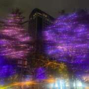 ヒメ日記 2025/07/28 20:26 投稿 わかば 横浜ひよこ倶楽部