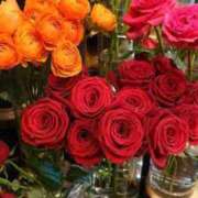 ヒメ日記 2026/03/05 08:56 投稿 辻きょうこ おいしい奥様