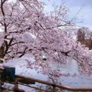 ヒメ日記 2026/03/11 22:20 投稿 辻きょうこ おいしい奥様