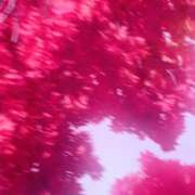 ヒメ日記 2025/03/19 16:35 投稿 香西 熟女の風俗最終章　鶯谷店