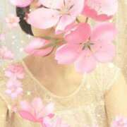 ヒメ日記 2025/04/03 06:10 投稿 香西 熟女の風俗最終章　鶯谷店