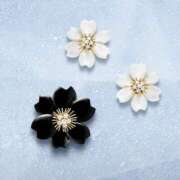 ヒメ日記 2025/05/11 10:37 投稿 香西 熟女の風俗最終章　鶯谷店