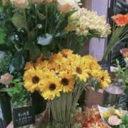 ヒメ日記 2025/07/25 19:40 投稿 香西 熟女の風俗最終章　鶯谷店