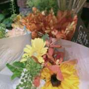 ヒメ日記 2025/08/05 19:11 投稿 香西 熟女の風俗最終章　鶯谷店