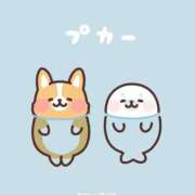 ヒメ日記 2025/08/17 13:26 投稿 香西 熟女の風俗最終章　鶯谷店