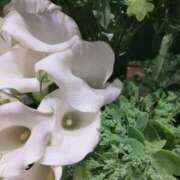 ヒメ日記 2025/09/01 20:30 投稿 香西 熟女の風俗最終章　鶯谷店