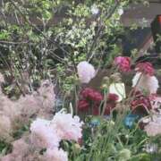 ヒメ日記 2025/09/06 07:36 投稿 香西 熟女の風俗最終章　鶯谷店