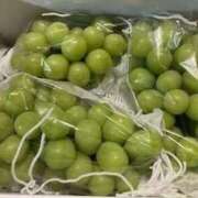 ヒメ日記 2025/09/14 11:36 投稿 香西 熟女の風俗最終章　鶯谷店