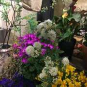 ヒメ日記 2025/09/27 07:26 投稿 香西 熟女の風俗最終章　鶯谷店