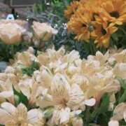 ヒメ日記 2025/10/22 06:12 投稿 香西 熟女の風俗最終章　鶯谷店