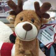 ヒメ日記 2025/12/03 06:46 投稿 香西 熟女の風俗最終章　鶯谷店