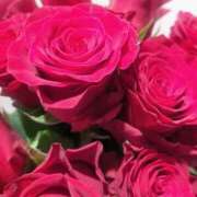 ヒメ日記 2025/12/03 17:26 投稿 香西 熟女の風俗最終章　鶯谷店