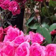 香西 🧭🎄週の始まり🎄 熟女の風俗最終章　鶯谷店