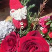 ヒメ日記 2025/12/25 03:16 投稿 香西 熟女の風俗最終章　鶯谷店