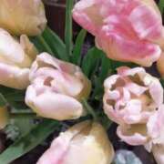 ヒメ日記 2026/01/29 08:56 投稿 香西 熟女の風俗最終章　鶯谷店