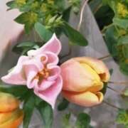 ヒメ日記 2026/02/21 18:56 投稿 香西 熟女の風俗最終章　鶯谷店