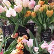 ヒメ日記 2026/02/23 18:51 投稿 香西 熟女の風俗最終章　鶯谷店