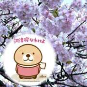 ヒメ日記 2026/03/06 21:43 投稿 香西 熟女の風俗最終章　鶯谷店