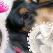 ヒメ日記 2025/03/31 22:44 投稿 えま One More奥様　蒲田店