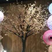 あさみ 20日木曜日 sakura