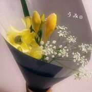 ヒメ日記 2025/03/22 21:00 投稿 うみ アリスカフェ