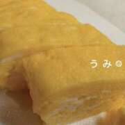 ヒメ日記 2025/03/25 08:00 投稿 うみ アリスカフェ