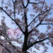 ヒメ日記 2025/03/30 21:01 投稿 うみ アリスカフェ