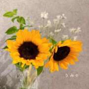 ヒメ日記 2025/08/28 21:01 投稿 うみ アリスカフェ