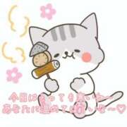 ヒメ日記 2025/03/31 14:54 投稿 りか 即アポ奥さん～浜松店～