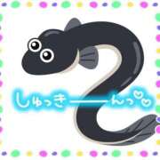 ヒメ日記 2025/04/08 14:14 投稿 りか 即アポ奥さん～浜松店～