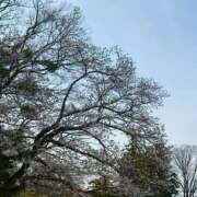 竹宮 蘭 こんにちは🌸 人妻セレブ宮殿