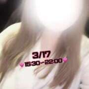 ヒメ日記 2025/03/14 19:05 投稿 れいか 茨城水戸ちゃんこ