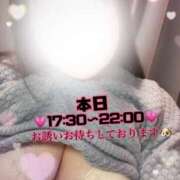 ヒメ日記 2025/03/15 10:35 投稿 れいか 茨城水戸ちゃんこ