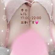 ヒメ日記 2025/04/06 14:15 投稿 れいか 茨城水戸ちゃんこ