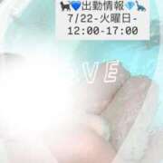 ヒメ日記 2025/07/15 19:55 投稿 れいか 茨城水戸ちゃんこ