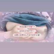 ヒメ日記 2025/07/22 10:55 投稿 れいか 茨城水戸ちゃんこ