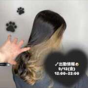 ヒメ日記 2025/09/09 20:55 投稿 れいか 茨城水戸ちゃんこ