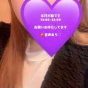 ヒメ日記 2025/09/12 11:35 投稿 れいか 茨城水戸ちゃんこ