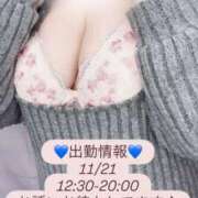 ヒメ日記 2025/11/20 20:25 投稿 れいか 茨城水戸ちゃんこ