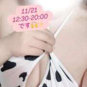 ヒメ日記 2025/11/20 23:25 投稿 れいか 茨城水戸ちゃんこ