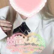 ヒメ日記 2025/11/24 13:55 投稿 れいか 茨城水戸ちゃんこ