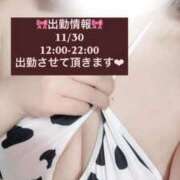 ヒメ日記 2025/11/27 18:05 投稿 れいか 茨城水戸ちゃんこ