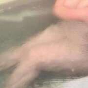 ヒメ日記 2025/12/08 00:15 投稿 れいか 茨城水戸ちゃんこ