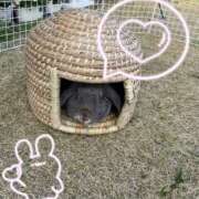 ヒメ日記 2026/03/14 20:58 投稿 れいか 茨城水戸ちゃんこ