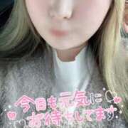 ヒメ日記 2026/04/02 12:05 投稿 れいか 茨城水戸ちゃんこ