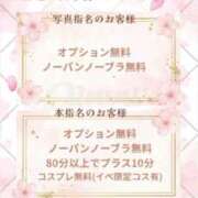 ヒメ日記 2026/04/02 12:38 投稿 れいか 茨城水戸ちゃんこ