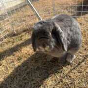 ヒメ日記 2026/04/03 10:55 投稿 れいか 茨城水戸ちゃんこ